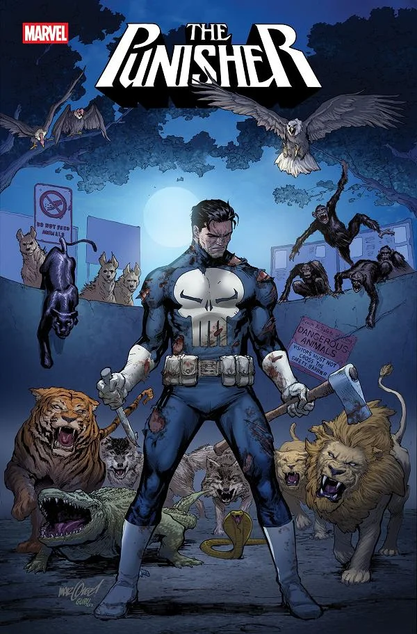 Tapa de Punisher #11 · Cover A David Marquez