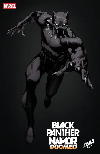 Tapa Cover B - David Nakayama Color Block Black Variant de Black Panther/Namor: Doomed #4