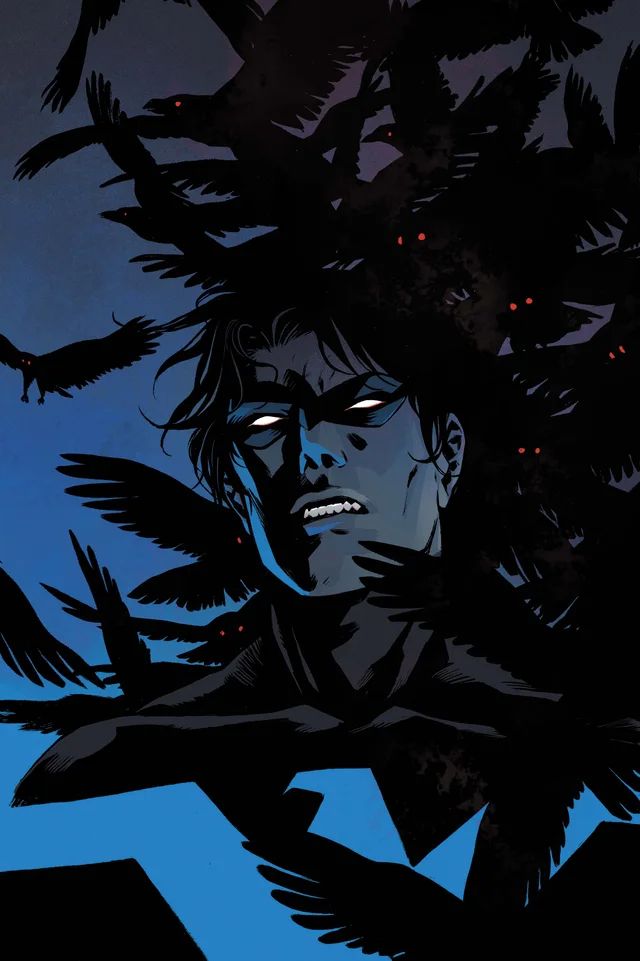 Tapa de Nightwing #144 · Cover C Becky Cloonan Card Stock Var